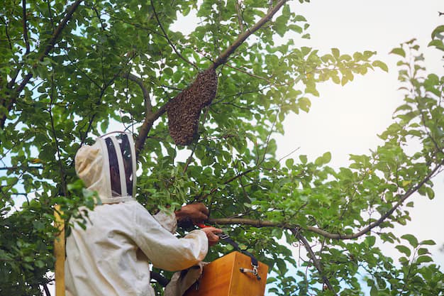 Forest beekeeping